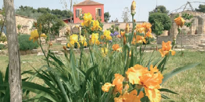 agriturismo villa cappelli